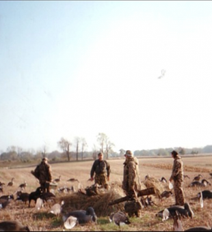 Prime Hunting Grounds, Rondeau Bay Marsh